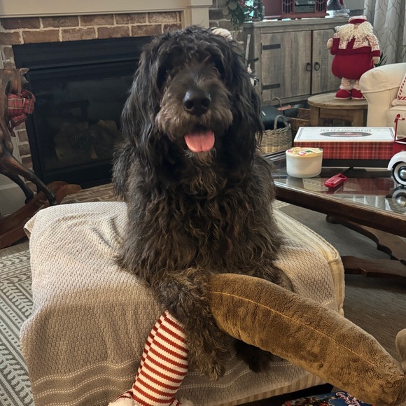 Meet your Posher, Colleen - Picture 2 of 2